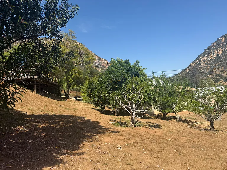 262 Editha Dr — Photo 17