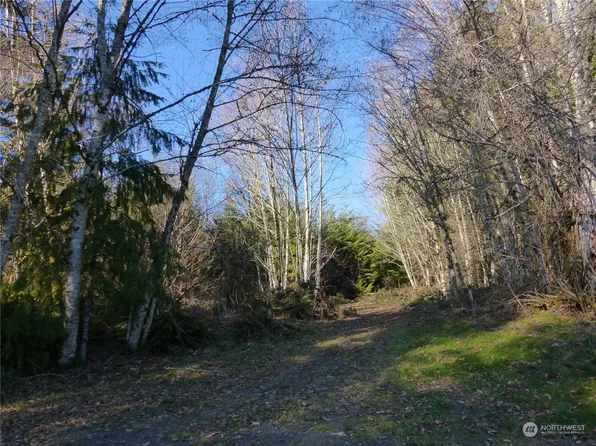 0 Mountain View Road, Kalama, WA 98625