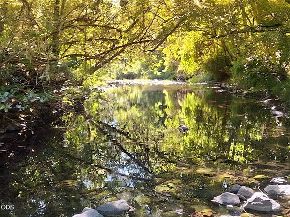 2nd image of 1760 Placer Rd
