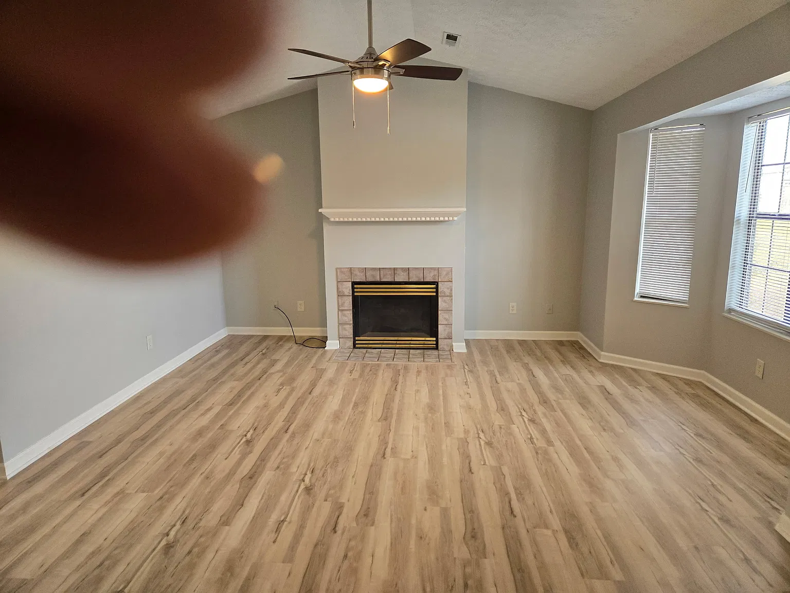 7243 Genoa Ln — Photo 3