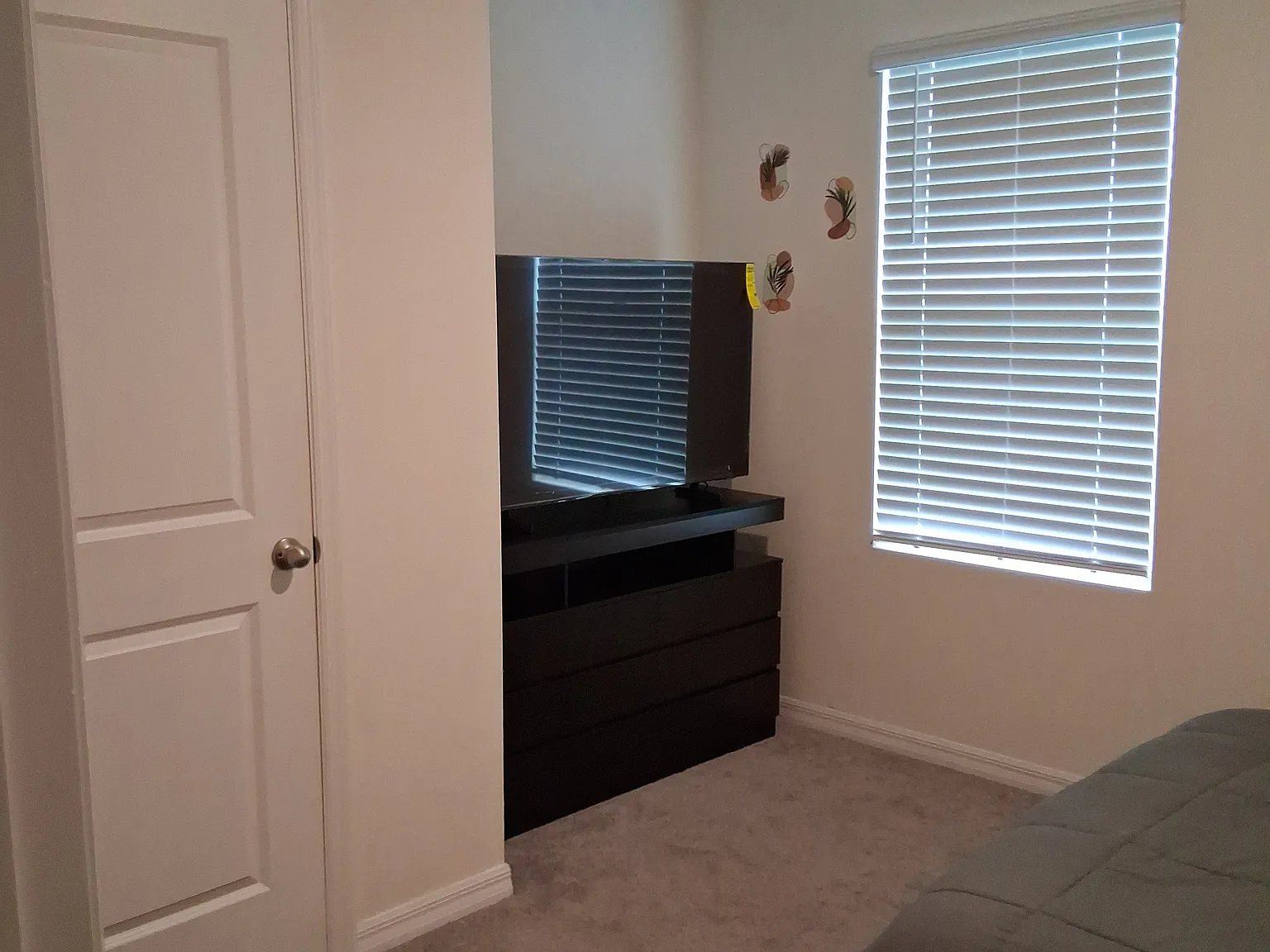1 bed, 2447 sqft, $825 — Photo 2