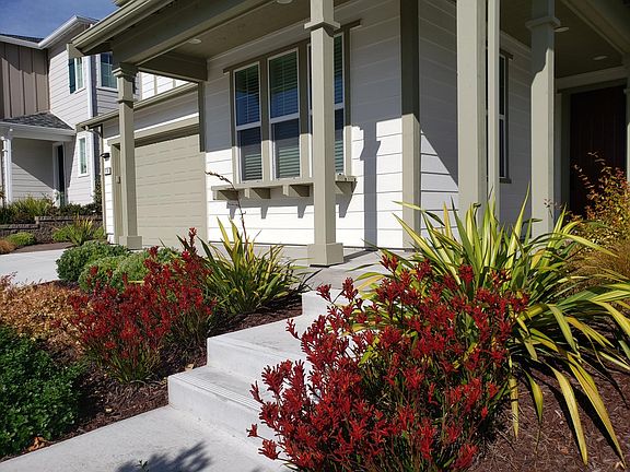 Front yard (Maintained by the Homeowner's Association)