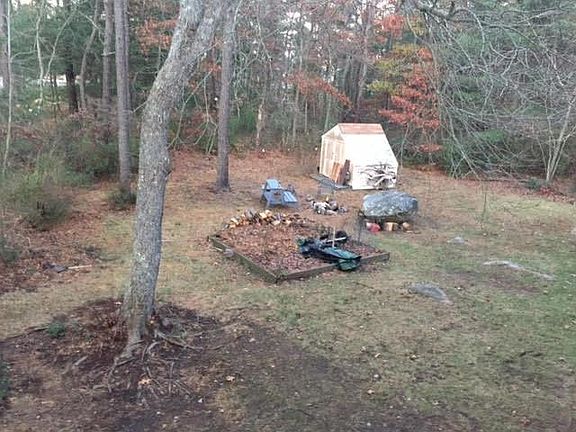 Back yard and greenhouse