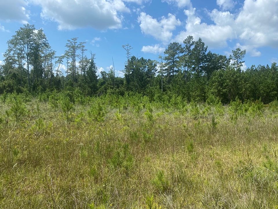 2nd image of 85 Prince Rd SE