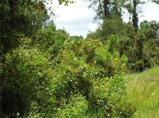 2157 Vance Rd, Deltona, FL 32738