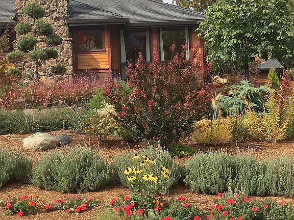4th image of 2303 Lupine Dr
