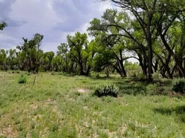 X Rd #5195, Bloomfield, NM 87413