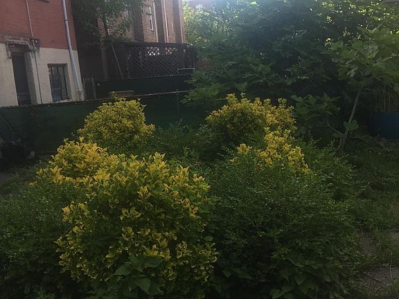 5th image of 60-65 84th St #G