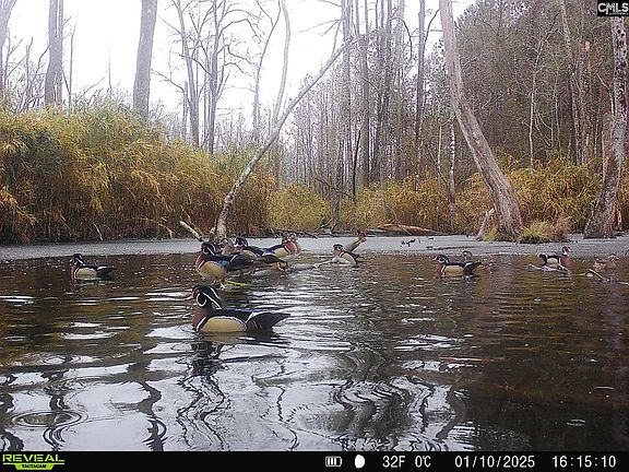 2nd image of 231 Ault Rd
