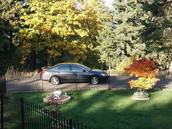 Side yard from the hill side.