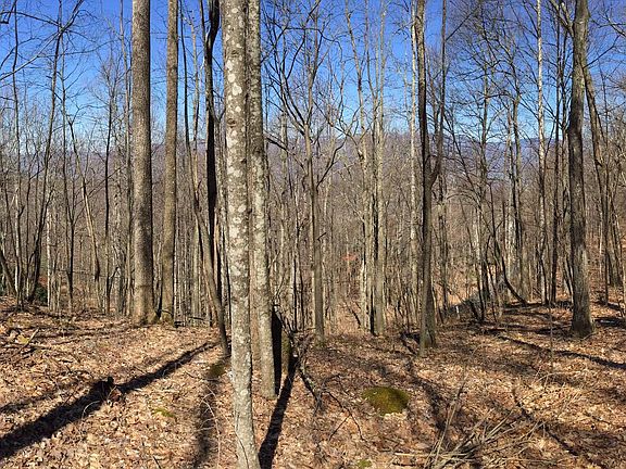 5th image of 160 Wildflower Cove #Lot 13