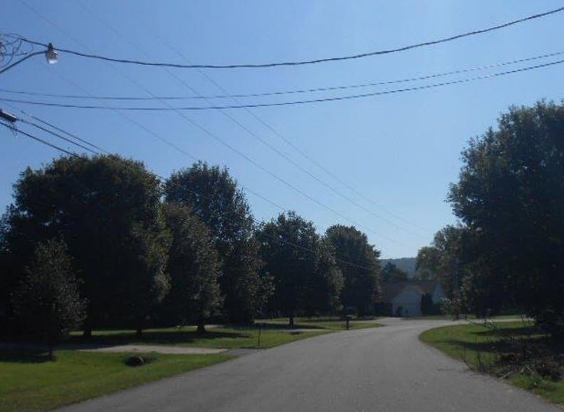 2nd image of 117 Ed Milner Ln