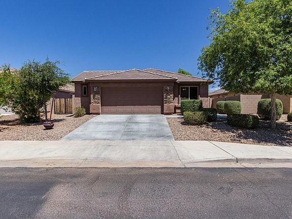 Morning Glory - 19670 (2)