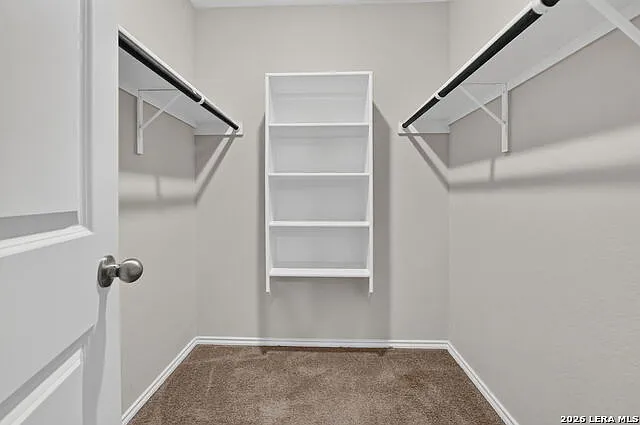 8242 Blue Canal — Photo 21