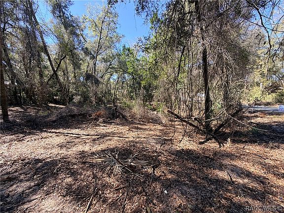 2nd image of 3910 E Scotty St