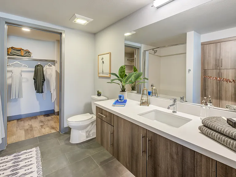 Bathroom + Closet