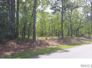 93 Daisy St, Homosassa, FL 34446