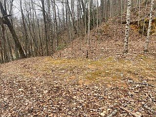 5th image of 0 Murphy Rd