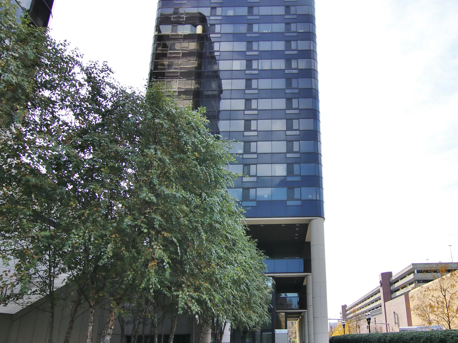 1 bed, 557 sqft, $2,400 — Photo 3