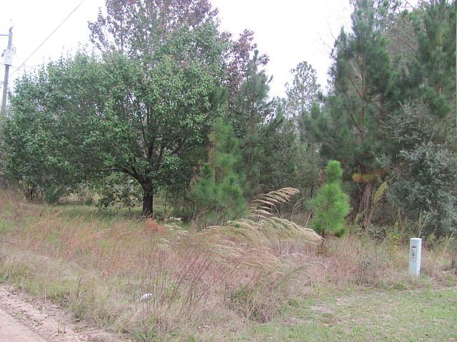 2nd image of 57 Pine Ridge Rd