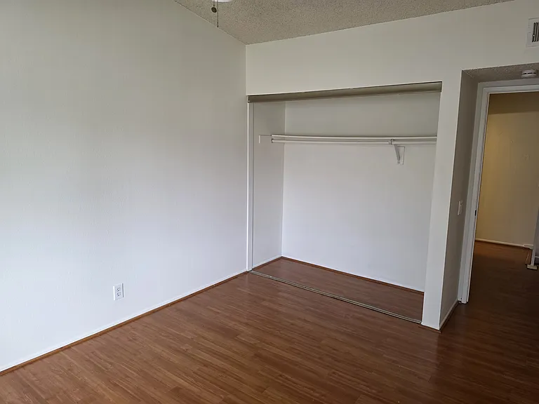 Bedroom 1 closet