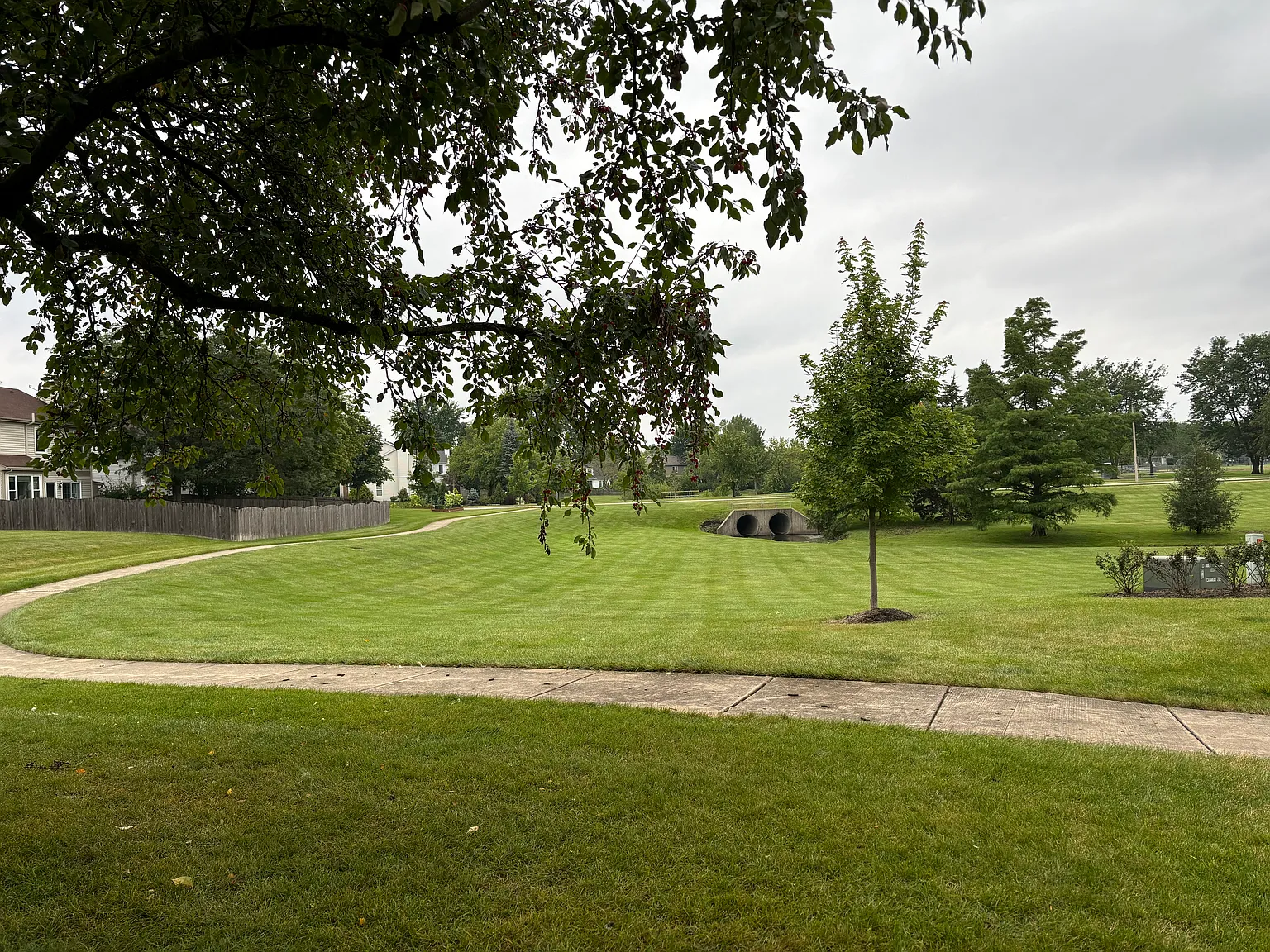 2 bed, 1206 sqft, $2,650 — Photo 4