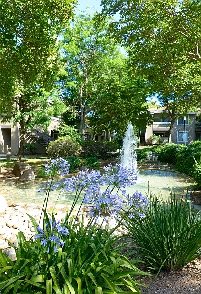 Monte Vista Apartments — Photo 20
