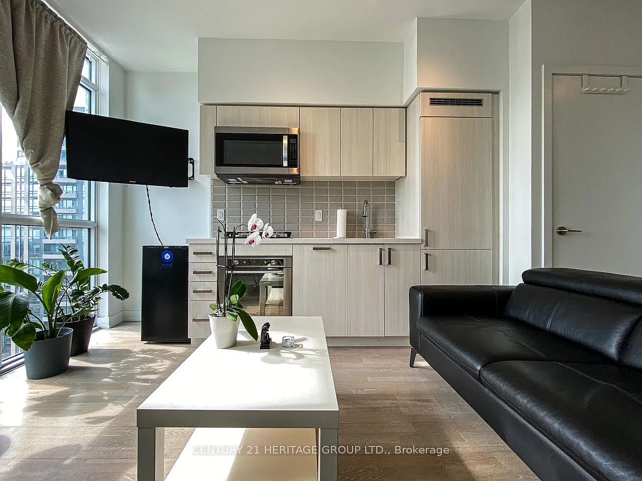 Studio, $1,850 — Photo 4