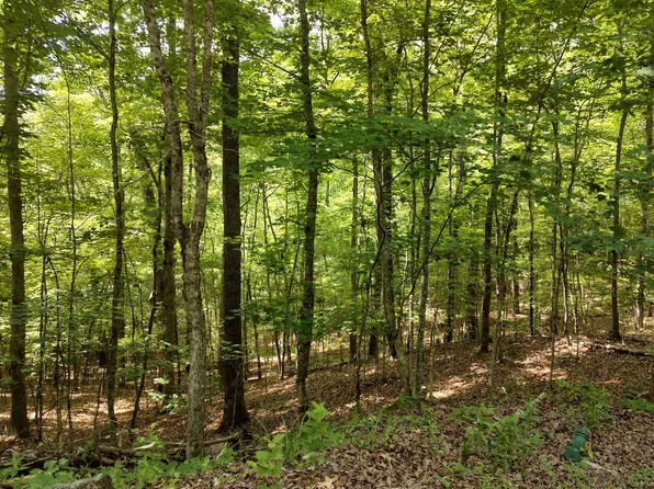 25 Wolf Creek Spur, Mineral Bluff, GA 30559