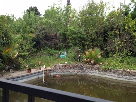 Back Yard and Pool