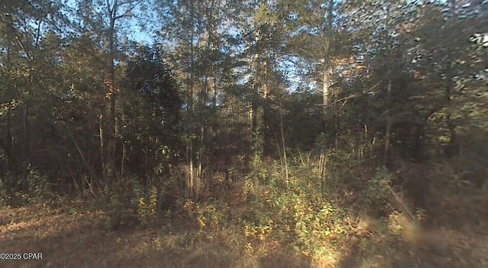 2nd image of 0 Krocus St