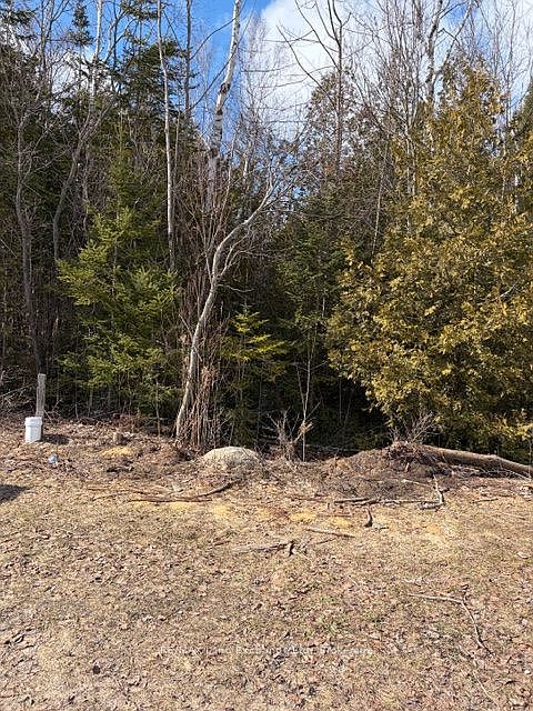 2nd image of 11 Lakeside Woods Cres