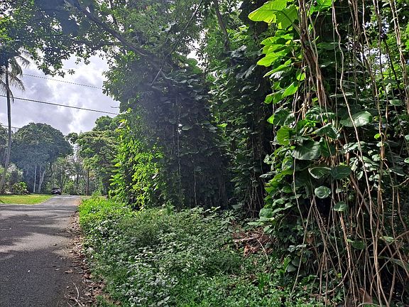 3rd image of Laau Loke St Lot 59