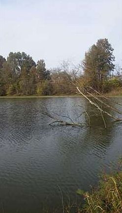 5th image of 8150 SE 169th Hwy