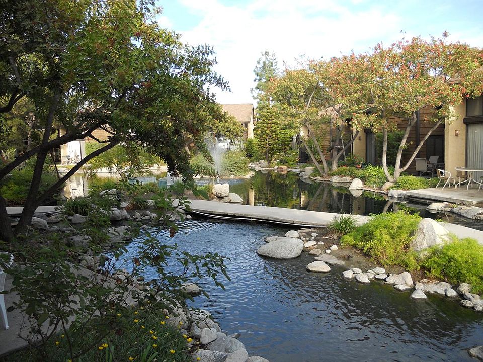 View from the Patio