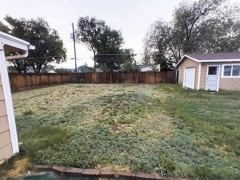 509 Rose Dr — Photo 15