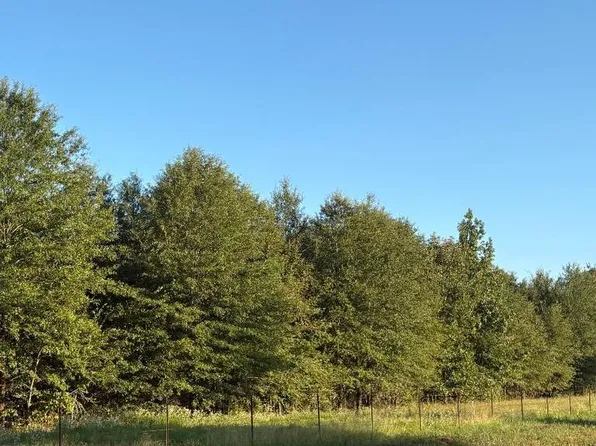 TRACT 6 Highway 990, Simms, TX 75574
