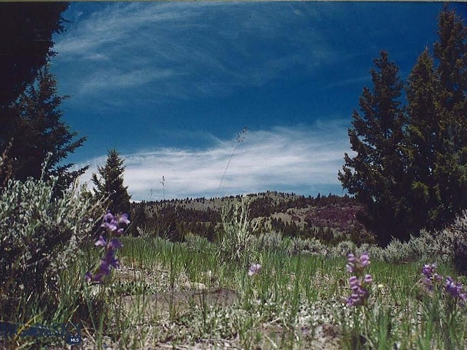 1st image of Lookout Trl