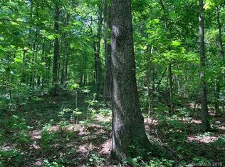 0 Fawns Rst #4, Black Mountain, NC 28711