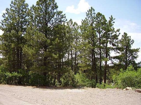 5th image of 87 Meadow Ln #2
