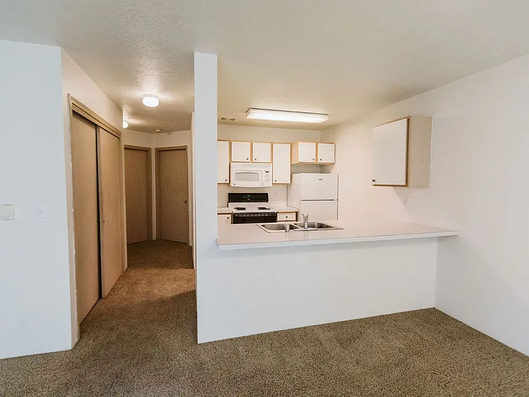 3025 S Cook St — Photo 3
