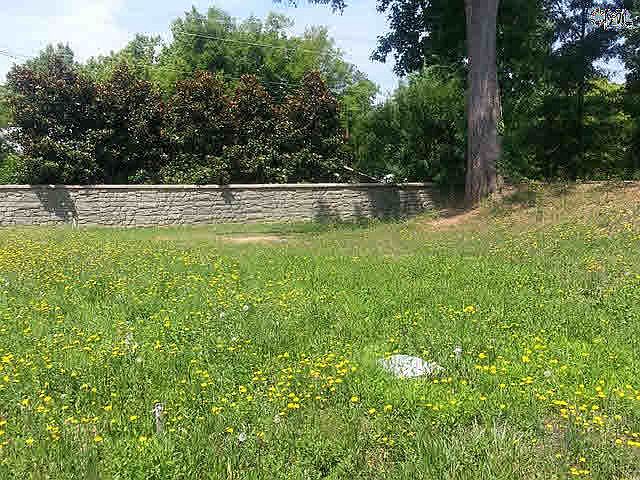 2nd image of 208 Congaree Park Dr