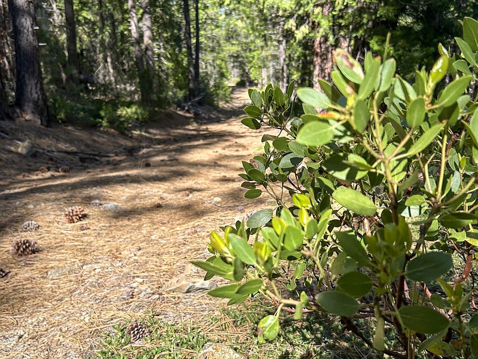 1st image of Gazelle Callahan Rd