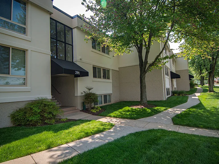 Tree-lined Entry
