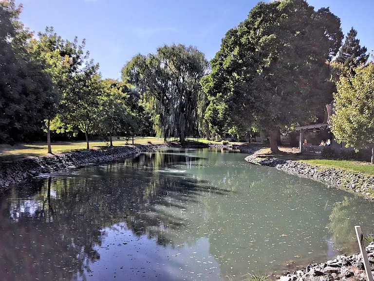 3156 Swallows Nest Dr — Photo 42