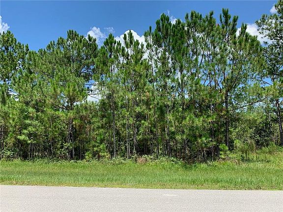3rd image of 204 Hidden Palms Dr