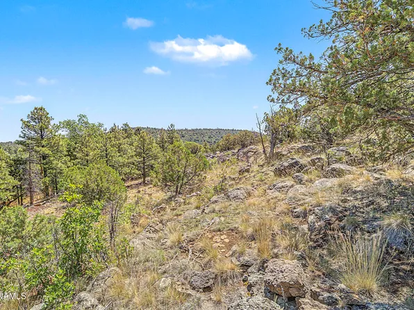 727 W Oak St, Williams, AZ 86046