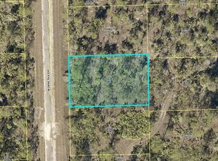2197 Winnetka Dr, Lehigh Acres, FL 33972