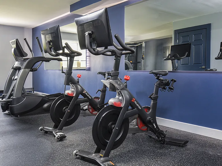 Pelaton Bikes