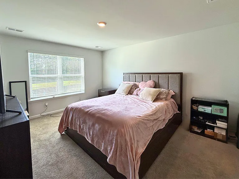 171 Ivory Shadow Rd — Photo 8